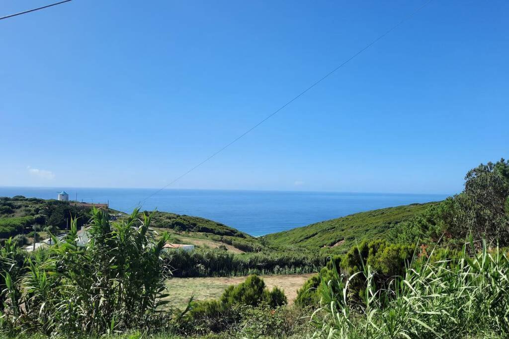 Sunflower Sea View With Magnificent Terrace In Serra Da Pescaria, Nazare - Portugal Bagian luar foto
