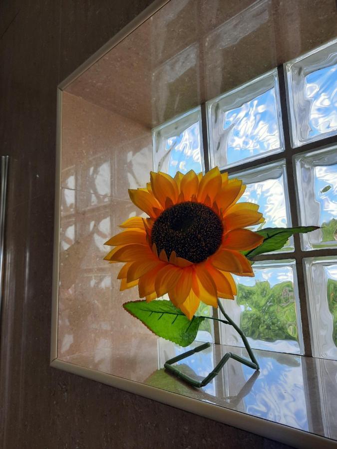 Sunflower Sea View With Magnificent Terrace In Serra Da Pescaria, Nazare - Portugal Bagian luar foto
